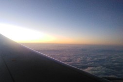 爱是陪伴,那么生活是什么呢?